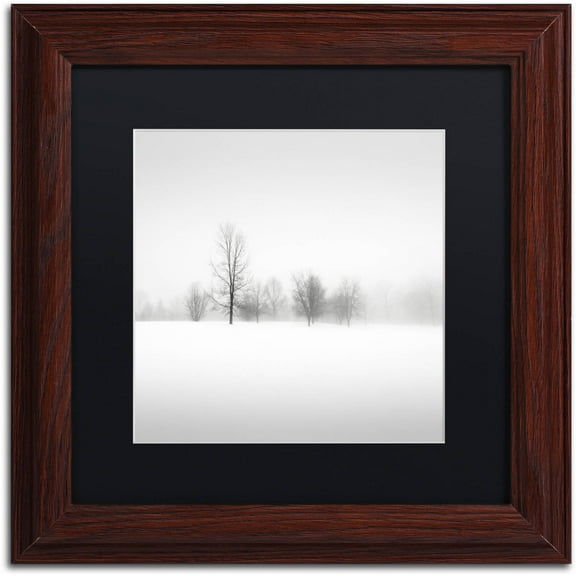 Trademark Fine Art "Winter Fog" Canvas Art by Dave MacVicar, Black Matte, Wood Frame