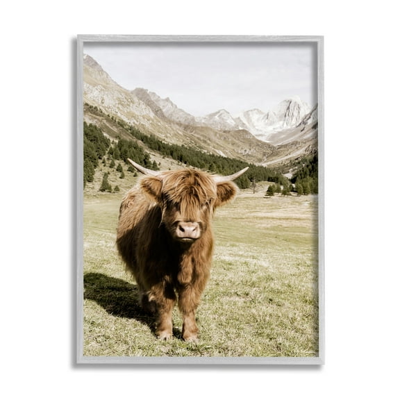 Stupell Industries Countryside Highland Cattle Distant Mountain Longhorn Photograph, 16 x 20, Design by Danita Delimont