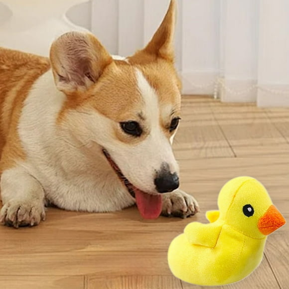 Funix Jouet Interactif à Mâcher pour Chiens et Chats - Encourage le Jeu et les Soins Bucco-Dentaires, Design Robuste, Utilisation Intérieure, Jouet pour Animaux, Jouet à Mâcher