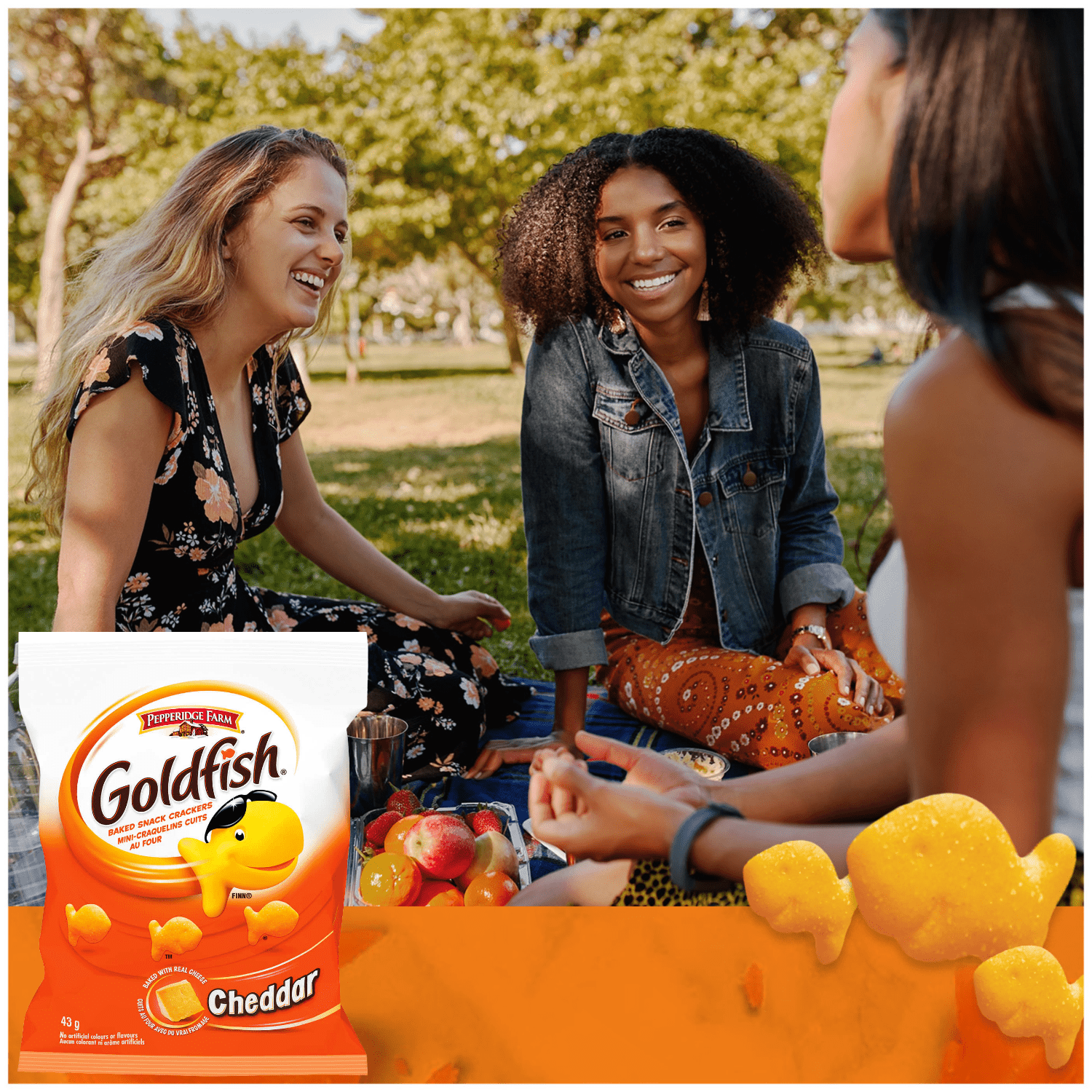 Goldfish Cheddar Crackers, 45oz. On the Go Packs -Baked with Real Cheddar Cheese No Artificial Colors & Flavors Crunchable & Munchable  Snacks for Kid's Lunch Box Halloween Basket Fillers & Favors