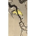 thumbnail image 2 of Koson, Ohara 9x14 White Modern Wood Framed Museum Art Print Titled - Chinese Wielewaal on Plum Blossom Branch, 1900-1910, 2 of 4