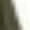 Army Green, variant on Men's Casual Valentine Tee Short Sleeve Round Neck Print Top Army Green XXL