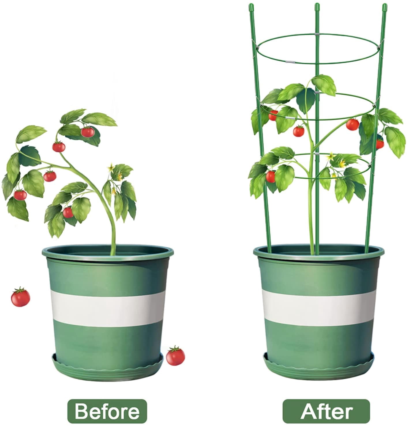 Plant Support Cages for Climbing Plant 20" Flower Cherry Tomato cage with Stand Stakes and Stable Support Rings, 3 Pack with 12 Clips (20")