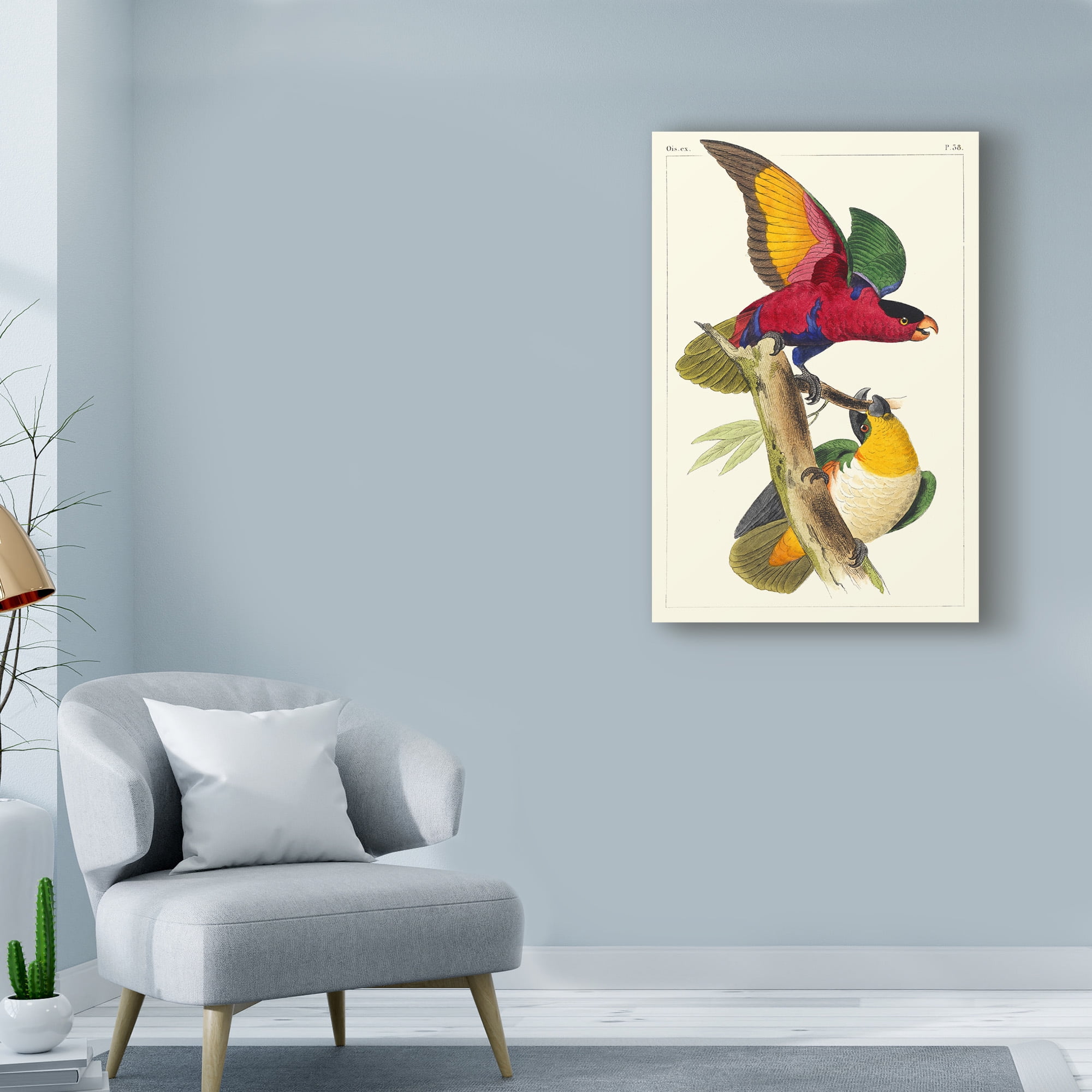Trademark Fine Art 'Lemaire Parrots I' Canvas Art by C.L. Lemaire