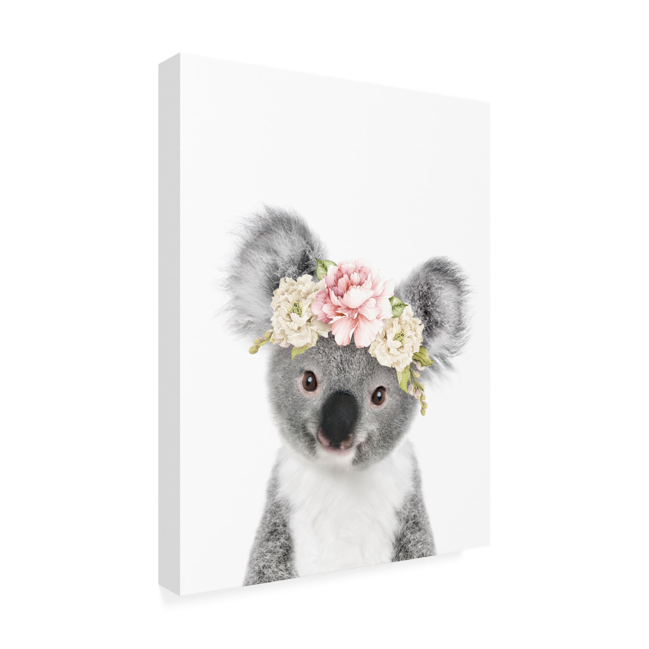 Trademark Fine Art Lola Peacock Floral Baby Koala Canvas Wall Art