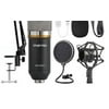 ZINGYOU Condenser Microphone Bundle, BM-800 Cardioid Mic Set for Studio Recording & Broadcasting