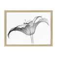 thumbnail image 2 of Kate and Laurel Blake Lily X Ray Floral BW Framed Printed Glass Wall Art by The Creative Bunch Studio, 18x24 Natural, Decorative Modern Flower Art Print for Wall, 2 of 6