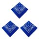 thumbnail image 3 of Sonducket Bandana Hip Hop Chic Bufanda cuadrada grande Paisley Diadema estampada Senderismo Envolturas Pañuelo para la cabeza Pañuelo para el Type1 NO1, 3 of 6