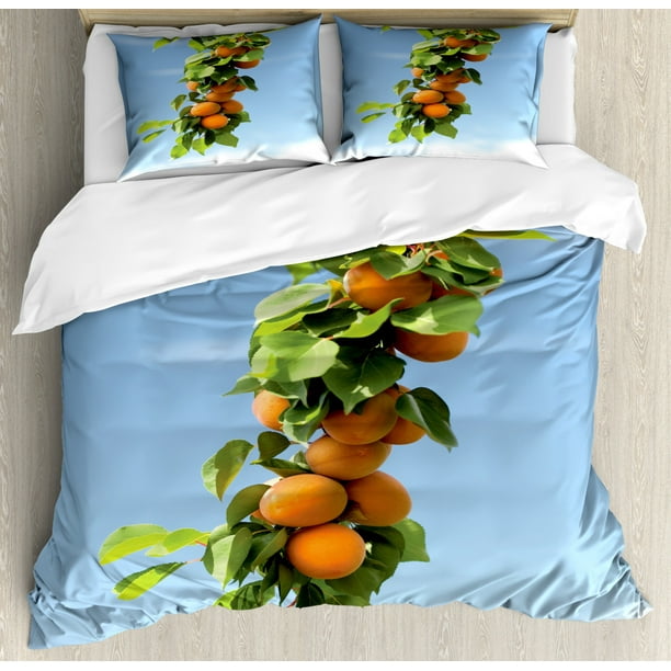 Apricot Duvet Cover Set Queen Size, Ripe Apricots on Tree Green Leaves