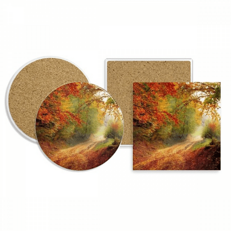 

Green Forestry Science Nature Scenery Coaster Cup Mug Holder Absorbent Stone Cork Base Set