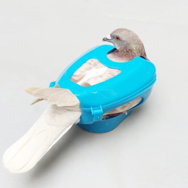 Soporte, Montaje Fijo De Alimentación, Soporte Fijo, Suministro De Pájaros 5.9x4.7x3.3in Para Cacatúas Starling Al Aire Libre Para Pájaros En Interiores