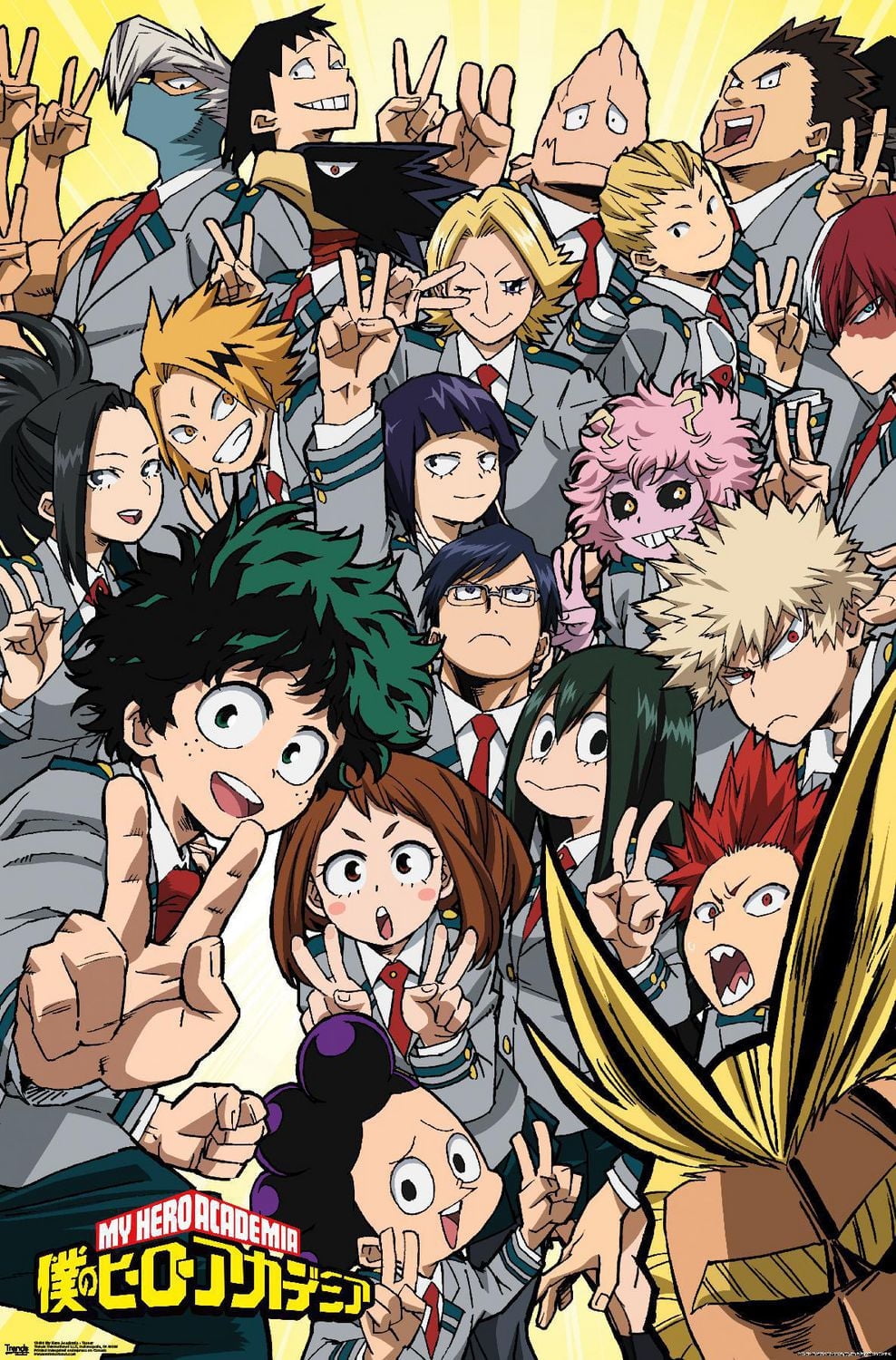 My Hero Academia - Teaser Wall Poster, 22.375" x 34"