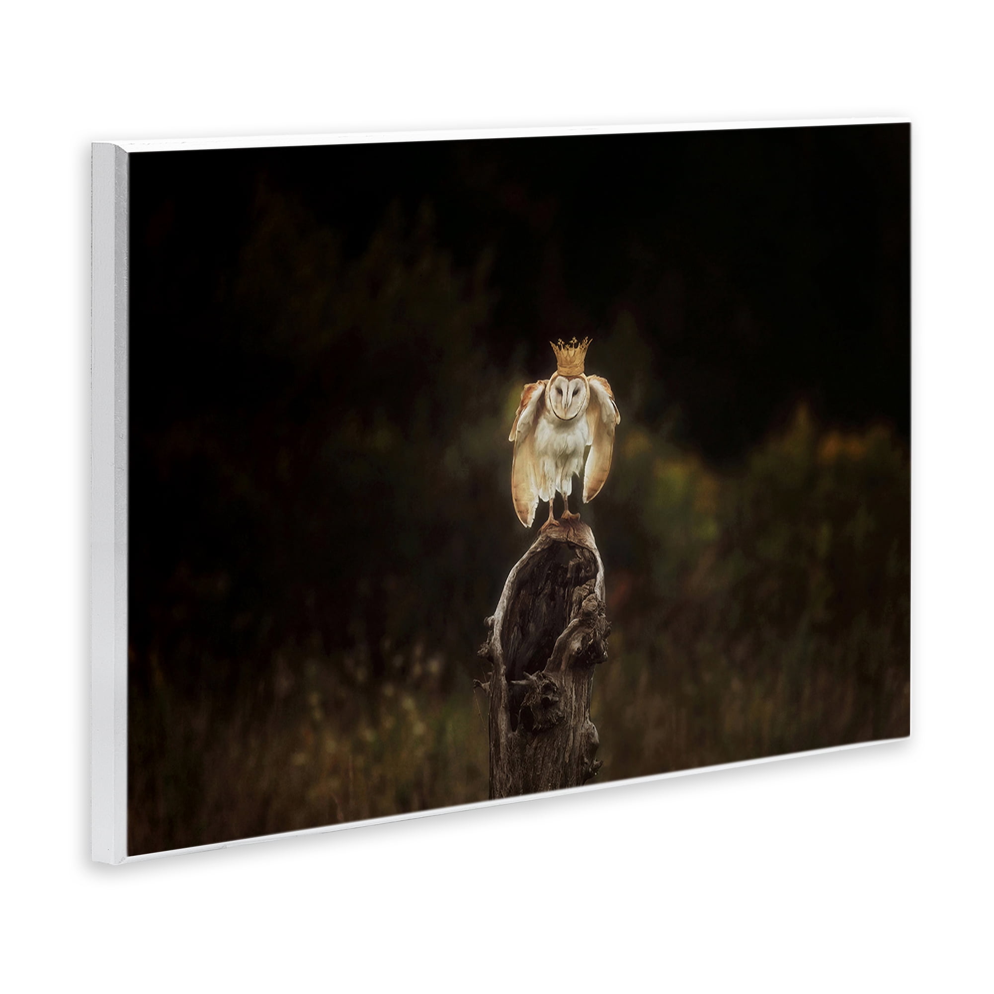 Stupell Industries Crowned Owl Perched Animals & Insects Photography Unframed Art Print Wall Art, 15 x 10