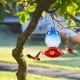 thumbnail image 5 of Glass Feeder Stained Glass Hummingbird Water Feeder Feeder Garden Decorations, 5 of 5