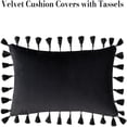 thumbnail image 6 of 2 Pcs Velvet Throw Pillow Case with Tassels, Boho Throw Pillow Cover Decor Cushion Covers, 6 of 8