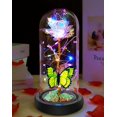 thumbnail image 1 of Gift Fvawe Galaxy Crystal Light Up Rose in Glass Dome, 1 of 6