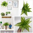 thumbnail image 3 of Fake Leaves Plants for Christmas Decor, Gold Artificial Shrubs Grass Foliage Plastic Bulk Leaf Indoor Outdoor Home Garden Party Hotel Verandah Wedding Event Faux DIY Decoration - Golden 5 Pack, 3 of 5
