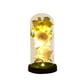thumbnail image 2 of Rosa LED en cúpula de cristal | Vitrina para flores eternas con luces | Regalo romántico para mujeres, esposas y madres | Decoración para el hogar en aniversarios, cumpleaños y San Valentín, 2 of 6