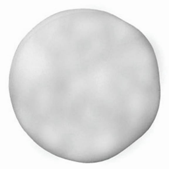 3 In. Foam Polishing Buff Pad