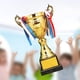 thumbnail image 1 of Premio de Metal Trofeo Ganar Primer Lugar Trofeos Trofeo Copa Premio Trofeo para Favores de Fiesta Escuela Aula Props 30 centimetros Hugo Trofeo de premio, 1 of 10