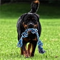 thumbnail image 2 of ziyahi Spring Pole Dog Rope Toy Dog Tug of War Toy Outdoor Hanging Exercise Rope for Pet, 2 of 6