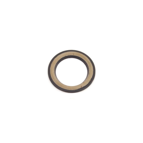 Easton Outboard Cassette Bearing Seal