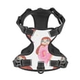 thumbnail image 4 of Junzan Sloth With Donuts1 Pattern Dog Harness - Lightweight,Soft,Adjustable Small Harness And Leash Set-Large, 4 of 9