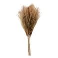 thumbnail image 1 of Flower Arrangement Dried Pampas Grass Real Plants Natural Herb Bouquet For Wedding Home Decoration Net Red Little Reed, 1 of 10