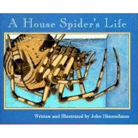 ISBN 9780516265360 product image for Nature Upclose: A House Spider's Life (Nature Upclose) (Paperback) | upcitemdb.com