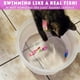 thumbnail image 2 of 8 PCS(Color random）Robo Fish for Cats, Robot Fish Toy That Swims, Interactive Robot Swimming Fish Toys for Cat, Activated Swimming, 2 of 5