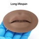 thumbnail image 5 of Speravity Labio de práctica de maquillaje permanente 3D para principiantes Piel adhesiva Labios abiertos Suministros de belleza Entrenamiento de Material de laboratorio Café Speravity TO008711-02, 5 of 6