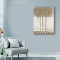 thumbnail image 3 of Trademark Fine Art 'Early Fall II' Canvas Art by Tim OToole, 3 of 4