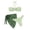 Green, variant on WXLWZYWL Women's Floral Print Bandeau Bikini Set High Cut Strapless Knot Front Swimsuit Sexy Bathing Suit