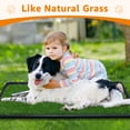 thumbnail image 4 of Orinal con césped para perros LOOBANI, grande, 90 x 60 cm, con 2 almohadillas, 4 of 7