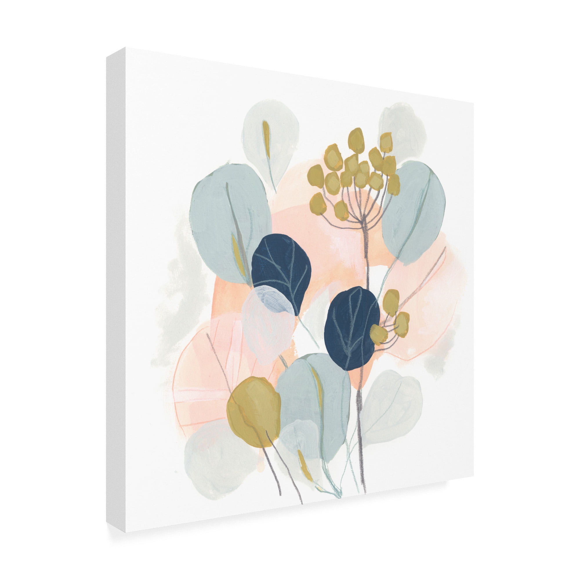 Trademark Fine Art 'Floral Mazurka IV' Canvas Art by June Erica Vess