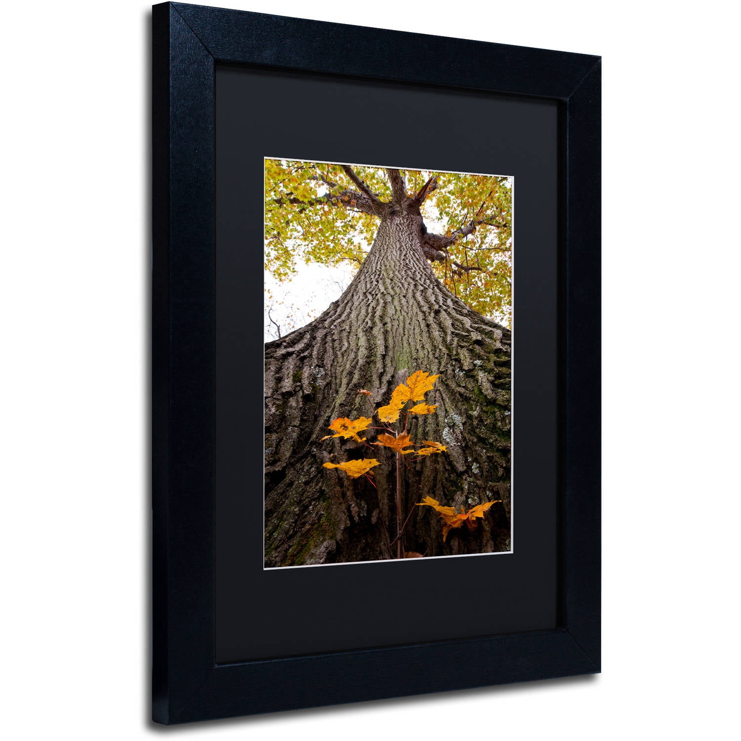 Trademark Fine Art "Aspiring to New Heights" Canvas Art by Kurt Shaffer, Black Matte, Black Frame