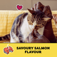 thumbnail image 4 of Temptations Savoury Salmon Flavour Soft & Crunchy Adult Cat Treats, 4 of 10
