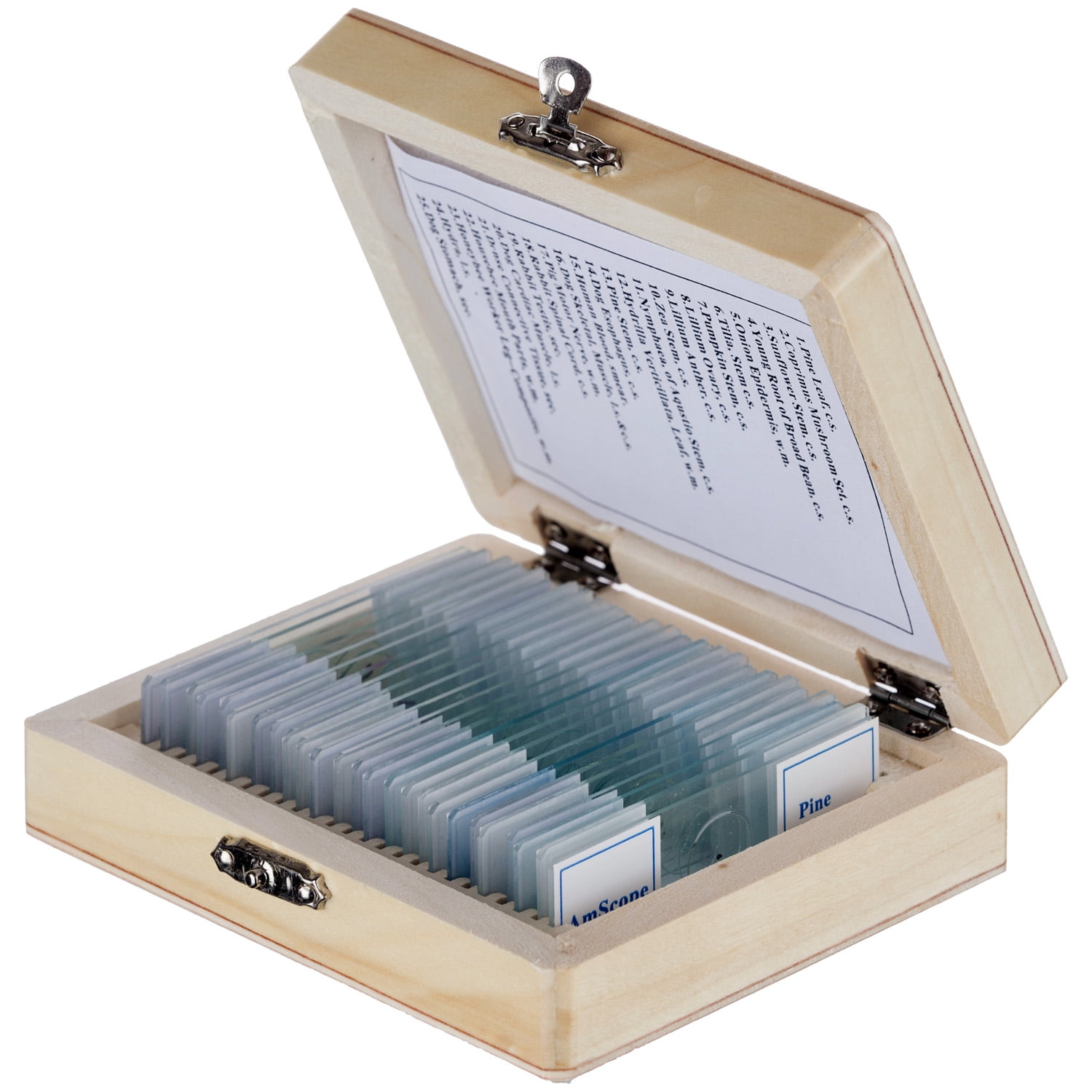 Jiusion 25Pcs Prepared Microscope Slides Set with Fitted Wooden Case Stereo Microscope Slide for Basic Biological Science Education Animals Insects Plants Flowers Sample Biological Specimen Jiusion 25Pcs Prepared Microscope Slides Set with Fitted Wooden Case Stereo Microscope Slide for Basic Biological Science Education Animals Insects Plants Flowers Sample Biological Specimen