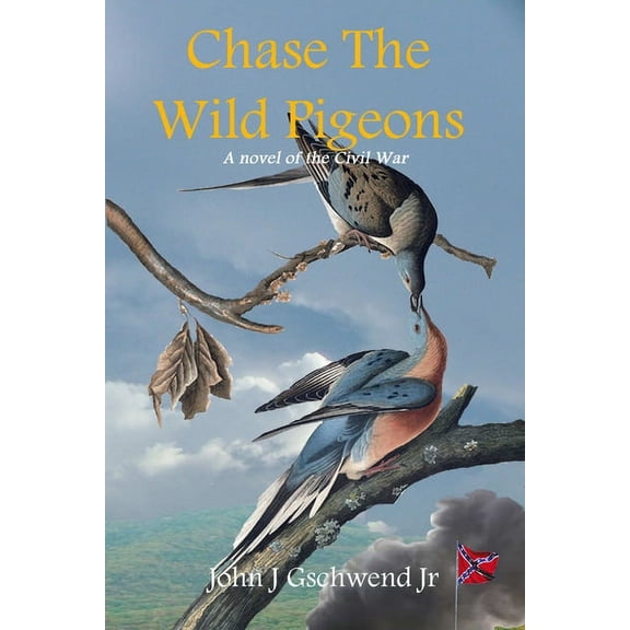 Chase The Wild Pigeons: A Novel of the Civil War (Paperback)
