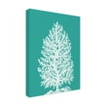 thumbnail image 2 of Trademark Fine Art 'Coral Tree White On Turquoise' Canvas Art by Fab Funky, 2 of 3