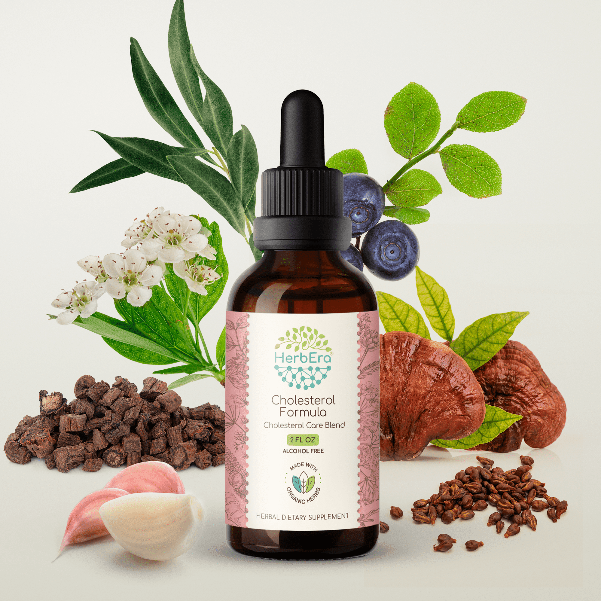 HerbEra Cholesterol Formula Extract, Dietary Supplement Herbal Formula, Made from Artichoke Leaf, Hawthorn Leaf and Flower, Fennel Seed, Turmeric Root, Ashwagandha Root, Amla Berry 2 oz