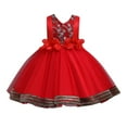 thumbnail image 2 of Toddler Kid Girl Lace Sleeveless Princess Gown Party Tulle Dress Cosplay Clothes Summer Beach Dress For Girl Fall Dress, 2 of 9