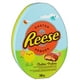 Boîte-cadeau de pralines pour Pâques Reese de Hershey's – image 1 sur 3