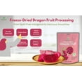 thumbnail image 6 of NOKKI FARM Freeze Dried Dragon Fruit Crisps - Healthy & Exotic Tropical Superfood Snacks, No Added Sugar or Preservatives, Kid-Approved, Shelf-Stable & Portable for On-The-Go Snacking, 1.76oz, 6 of 9