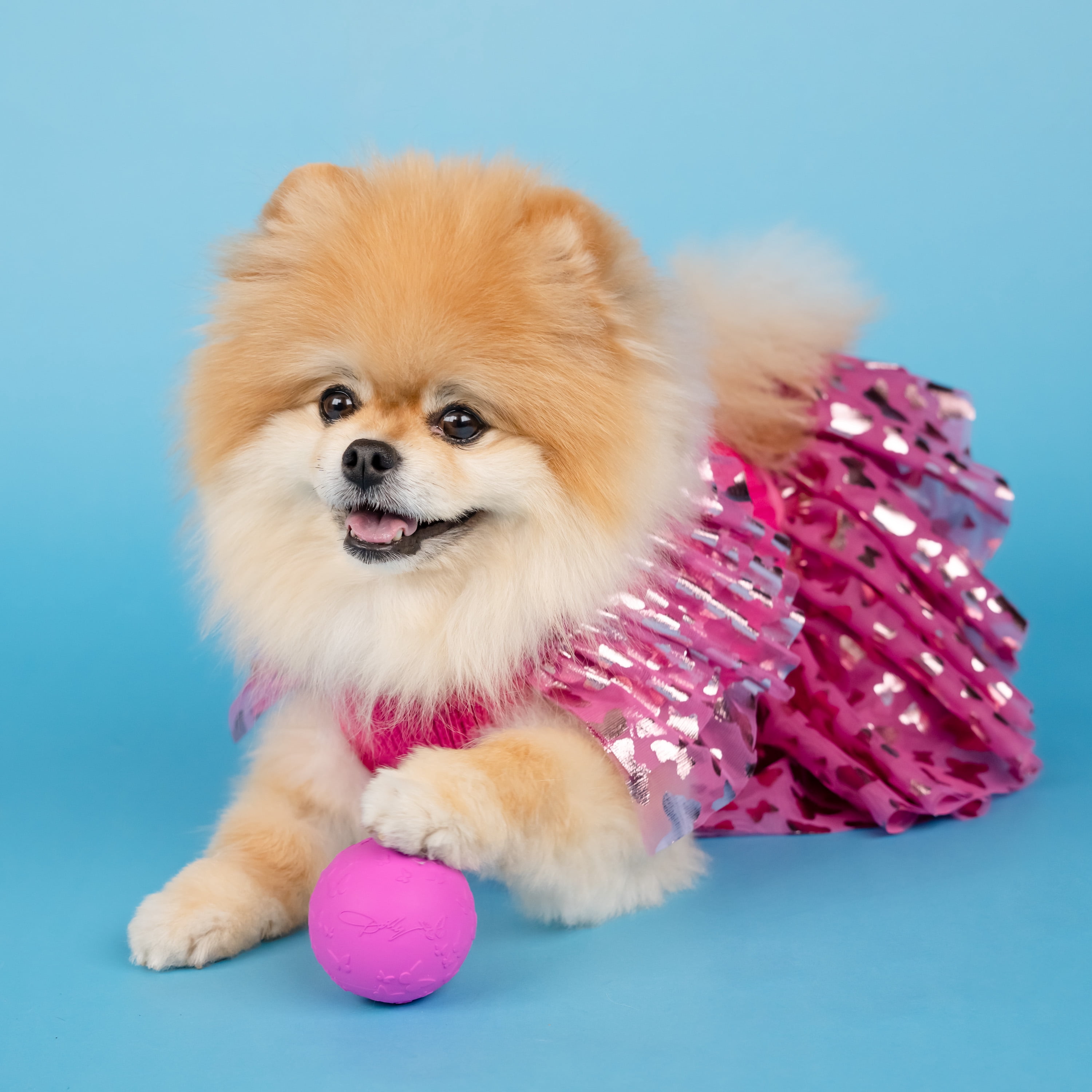 Doggy Parton, Dog Clothes, Ruffle Sweater and Skirt Two Piece Pet Set, Pink, XXL