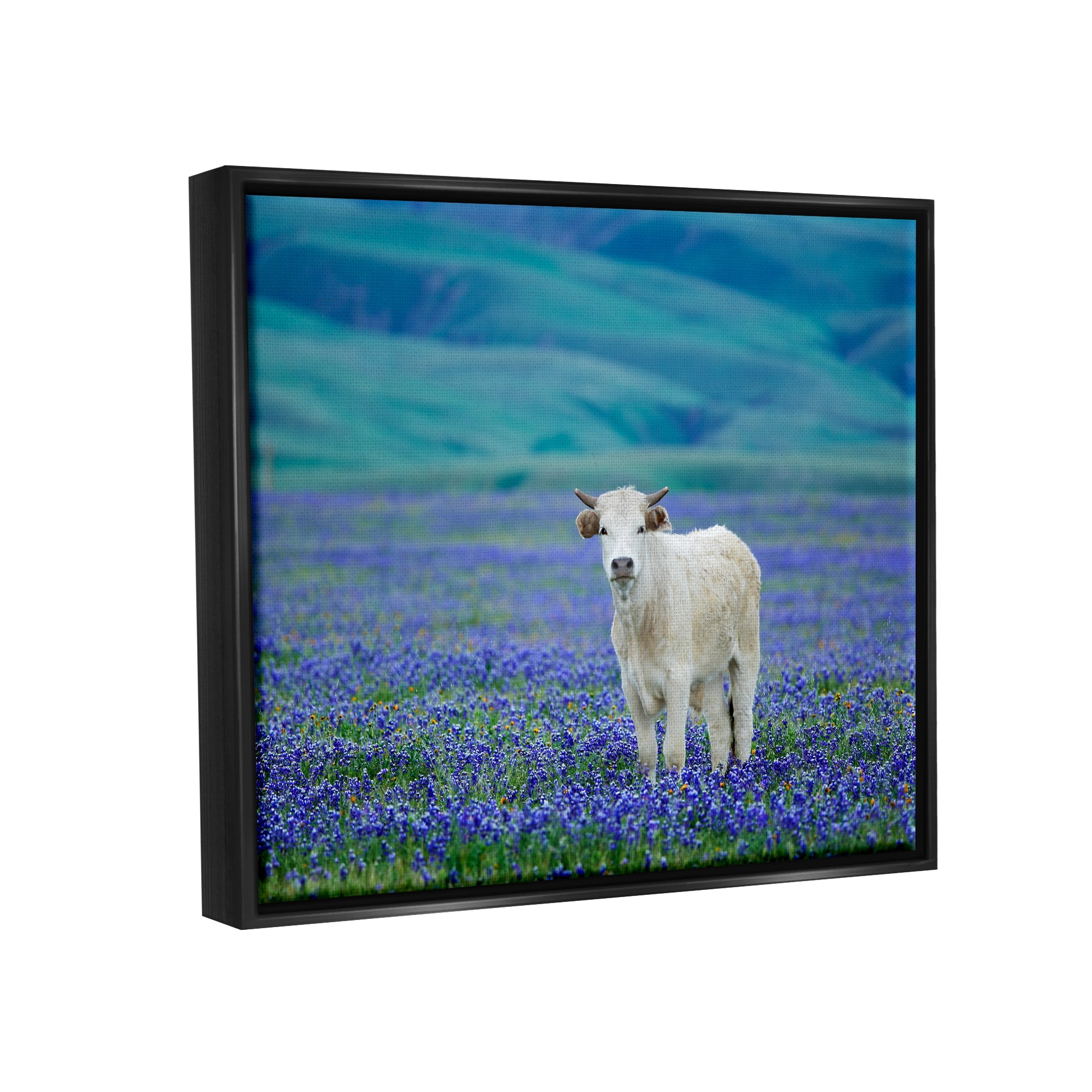 Stupell Industries White Cattle Lavender Field Animals & Insects Photography Black Floater Framed Art Print Wall Art