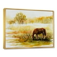 thumbnail image 3 of Designart 'Horse Eating Grass On A Meadow' Farmhouse Framed Canvas Wall Art Print, 3 of 5