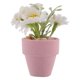 thumbnail image 4 of GOOHOCHY Plantas pequeñas para casa de muñecas, centros de mesa de margaritas realistas, mini margaritas artificiales, flores en maceta, modelo de bonsái en miniatura, 4 of 8