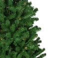 thumbnail image 3 of Northlight 7' Pre-Lit Norfolk Spruce Artificial Christmas Tree, Multi Lights, 3 of 5