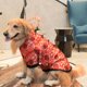 thumbnail image 3 of Traje Tang de Año Nuevo Ropa festiva de golden retriever para perros medianos y grandes Uso confiable, 3 of 4
